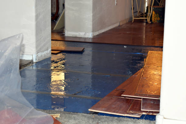 Professional Burst Pipe Cleanup technician working in Claremont, NH